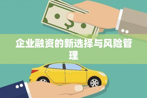 贡寮企业融资的新选择与风险管理