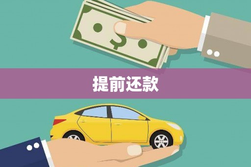 武侯提前还款