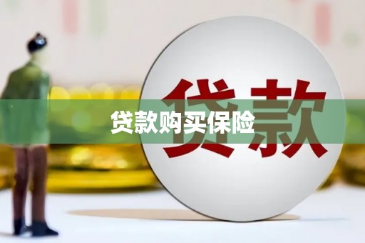 岱山贷款购买保险