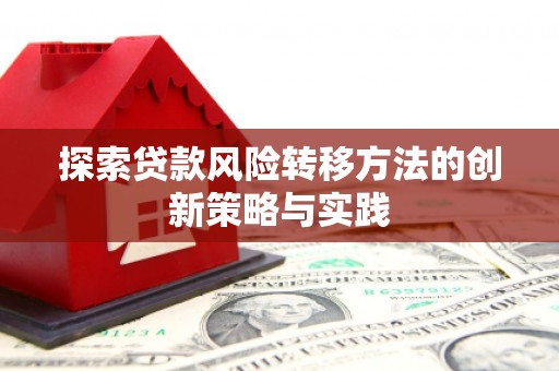 雨山探索贷款风险转移方法的创新策略与实践